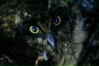 Фотография Ракитина Антона