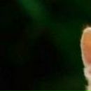 Діма Олійник фотография #30 (источник - https://vk.com/id66277935)