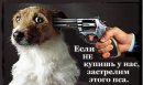 Фотография Денюшкина Александра