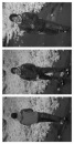 Фотография Горбатова Михаила