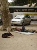 Роман Павлів фотография #23 (источник - https://vk.com/id7428007)