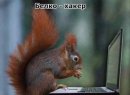 Сергей Галич фотография #5 (источник - https://vk.com/id35142883)