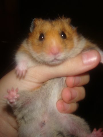  фото №9