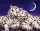 Лия Куроу фотография #10 (источник - https://vk.com/id20237428)