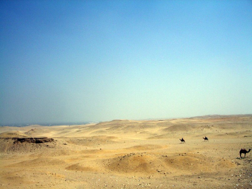 Дмитрий Плотников фотография #41