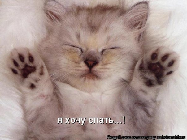 №18, Александр Корнев, 38 лет №18, Александр Корнев, 38 лет