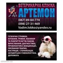 Константин Κорнилов фотография #11 (источник - https://vk.com/id166196694)