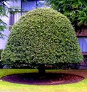 Фотография Абдулатипова Ильяса