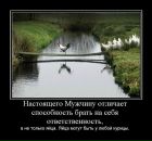 Фотография Бородина Сергея