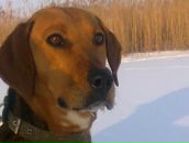 Серьога Вітров фотография #33 (источник - https://vk.com/id104590991)