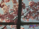 Діана Касаткіна фотография #6 (источник - https://vk.com/id156167707)