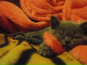 Оксана Романів фотография #20 (источник - https://vk.com/id7205299)