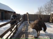 Юрій Тетьора фотография #21 (источник - https://vk.com/id15448207)