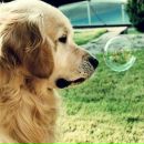 Діана Кіф'як фотография #47 (источник - https://vk.com/id144215365)