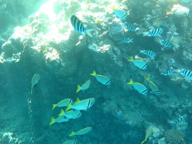 Борис Кишкилев фото №12