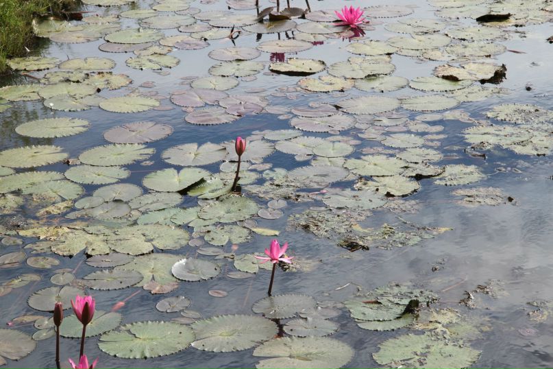 Алексей Пышкин фотография #22