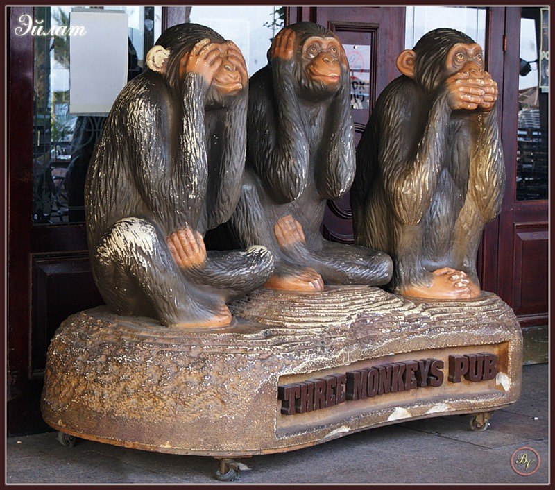 Иван Суворов фотография #7