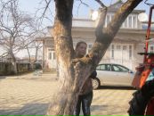 Діана Сеник фотография #28 (источник - https://vk.com/id95876908)