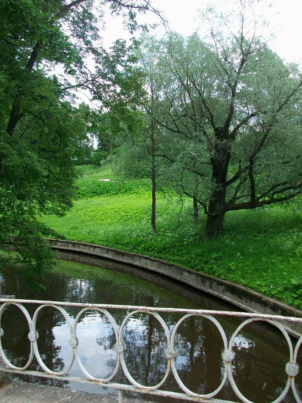 Дмитрий Грофф фотография #25
