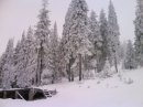 Олег Августінов фотография #34 (источник - https://vk.com/id4282370)