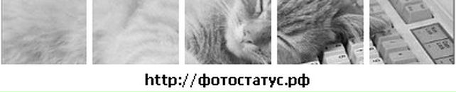 Ольга Гурнік фотография #30 (источник - https://vk.com/id112172004)