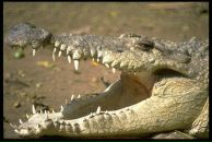 Богдан Даніловський фотография #1