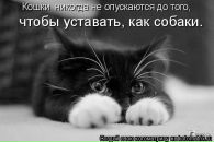 Фотография Флягиной Людмилы