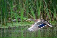 Константин Басалаев фотография #32 (источник - https://vk.com/id257097)