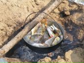 Александр Ханимов фотография #28 (источник - https://vk.com/id863512)