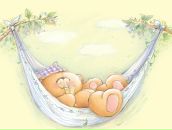 Фотография Соколова Дмитрия