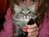 Фотография Кокориной Оксаны