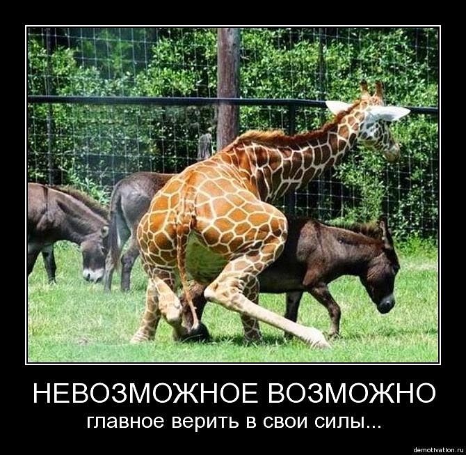 Василий Суслаев фотография #21