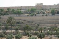 Дарья Климова фотография #44 (источник - https://vk.com/id345768)