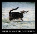 Ірина Паславська фотография #18 (источник - https://vk.com/id7136995)