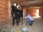 Фотография Силинского Сергея