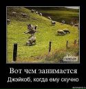 Александра Ярославская[♥love♥] фотография #17 (источник - https://vk.com/id99371978)