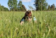 Фотография Меньковой Светланы