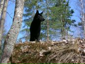 Фотография Кондаковой Ольги