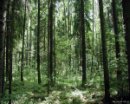 Κсения Μартынова фотография #27 (источник - https://vk.com/id41129489)