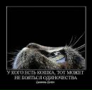 Фотография Беляевой Ольги