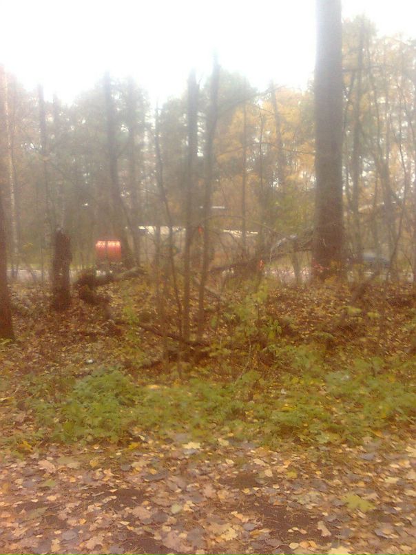 Виктор Сивицкий фотография #42