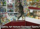 Сергій Жога фотография #16 (источник - https://vk.com/id145788409)