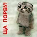 Мері Навасардова фотография #2 (источник - https://vk.com/id156208266)