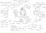 Фотография Находкина Алексея