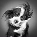 Фотография Шереметовой Юли