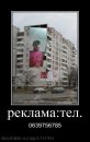 Віталік Шевчук фотография #1