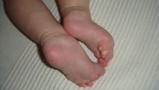 Фотография Шишкиной Светланы