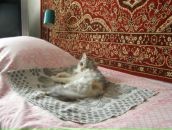 Фотография Остапчук Марины