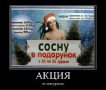 Дмитрий Польный фотография #42 (источник - https://vk.com/id69528758)