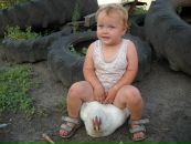 Светлана Куденко фотография #47 (источник - https://vk.com/id75942691)